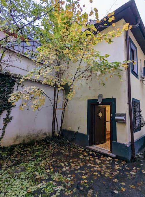 Maisonette Balcesco Брашов Екстер'єр фото